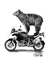 Camiseta Urso Viajeiro - MTV - Johny Libre - Sua Loja de Roupas para Motociclistas Aventureiros.