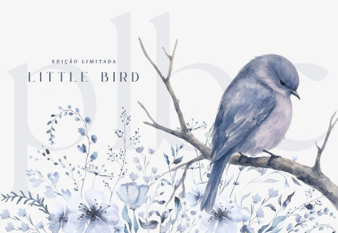 CLUBE DE IMPRESSOS: "Little Bird" - 2026