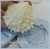 Molde de Silicone Concha  com Textura