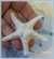 Molde de Silicone Estrela do Mar