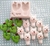 Molde de Silicone Lhama com Cactos