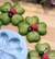 Molde de silicone com formato de trevo grande e insetos decorativos vermelhos e pretos.