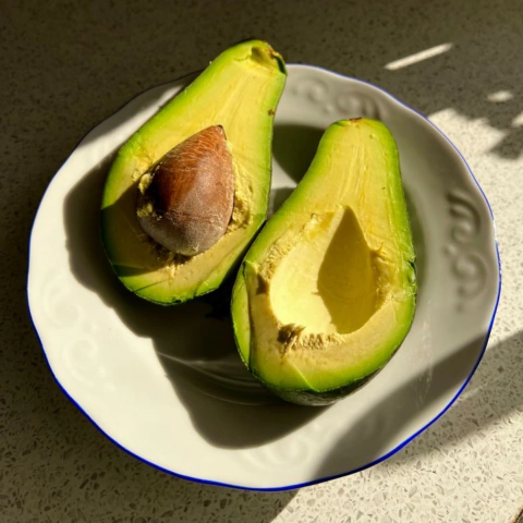 Palta hass orgánica