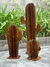 Cactus de hierro mediano - tienda online