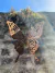 Mariposa colgante hierro - comprar online