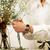 Reloj Casio G-shock Women Gm-s5600pg-1 en internet