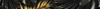 Banner Brave