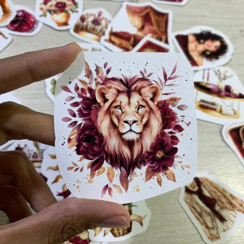 Kit Adesivos Stickers Leão