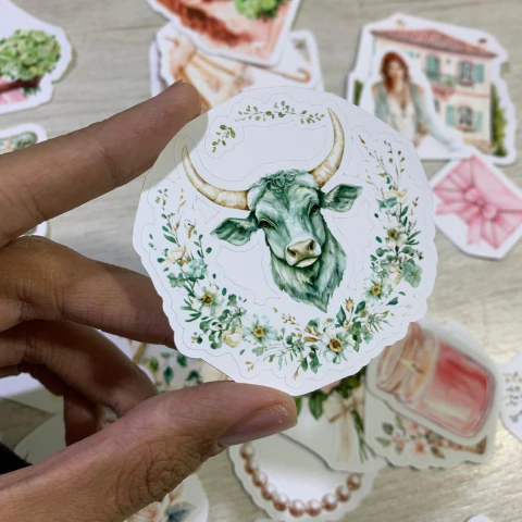 Kit Adesivos Stickers Touro