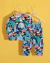 CONJUNTO DINO CAMP - comprar online