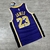 Regata NBA Lakers Jordan Masculina - Lebron James 23 - Roxo/Amarelo - loja online