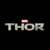 Funda Thor Logo