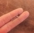 Piercing de tragus SASSY