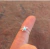 Midi ESTRELLA DE MAR
