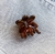 Broche FLORENCIA