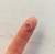 Mini argollita BALI 8 mm - comprar online