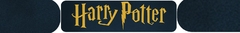Banner da categoria É aniversário de Harry Potter dia 25 de abril!