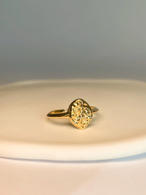 Anel Dária Banho Ouro 18K