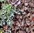Banner de FLOR DE PEDRA - Loja virtual 