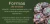 Imagem do banner rotativo FLOR DE PEDRA - Loja virtual 