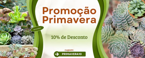 Imagem do banner rotativo FLOR DE PEDRA - Loja virtual 