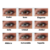 Lentes Colorida Anual para Miopia ou Hipermetropia na internet