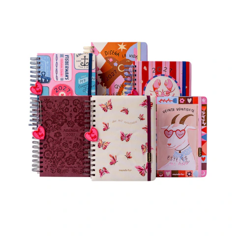 AGENDA FW DIARIA 2027 - ESTUDIANTE - 15X21CM