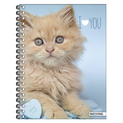 CUADERNO MOOVING RACHAEL HALE UNIVERSITARIO A4 TAPA DURA 120 HOJAS RAYADO