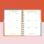AGENDA 2025 MONOBLOCK SEMANAL- VUELTA AL SOL "PROYECCION" - 15X21 - comprar online