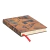 CUADERNO PAPERBLANKS MOSTAZA MINI RAYADO - comprar online