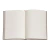 CUADERNO PAPERBLANKS DRAGÓN CROMÁTICO MINI RAYADO en internet
