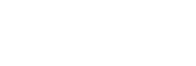 BRAVERYS