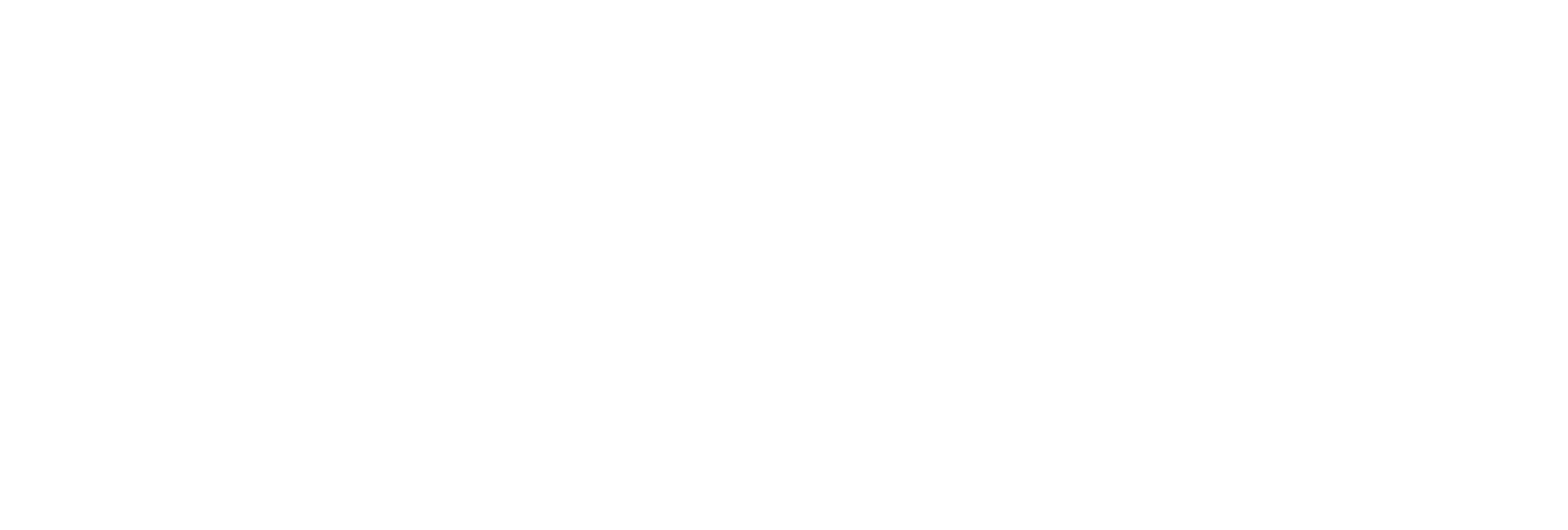 BRAVERYS