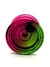 Magicyoyo v8 Rolamento Concavo + 5 Cordas -NÃO RESPONSIVO - loja online