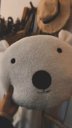 ALMOHADÓN TEDDY - De la Guarda