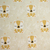 Gabardina oso beige fondo natural