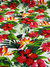 TROPICAL ESTAMPADO N34 - comprar online