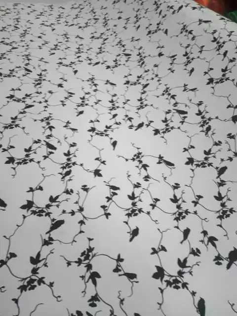 gabardina pajaro negro