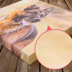 Fotolienzo 50x50 - comprar online