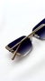 LV Sunglasses en internet