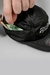 Five Panel Chronic ''Dexter''