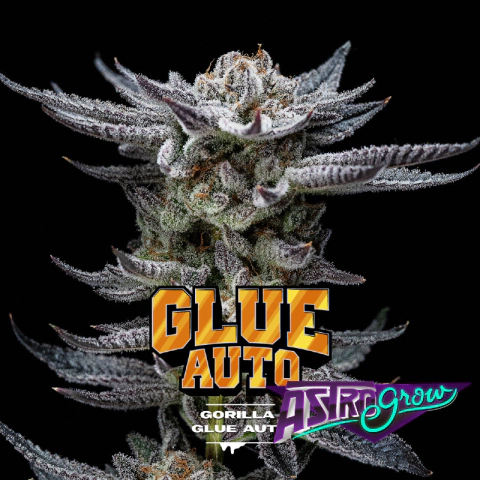 Gorilla Glue Auto x4 BSF
