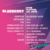 Blueberry Auto x12 BSF - comprar online