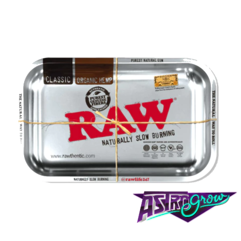 Bandeja Metal Raw Mediana Silver