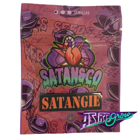 Satangie x3 Satan&Co - comprar online