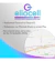 Pack 300 Escarapelas Argentina Cinta Prendedor Mayorista - Eliocell Store