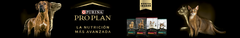 Banner de la categoría Pro Plan