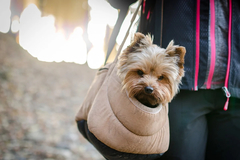 Banner de la categoría Bolsos de paseo