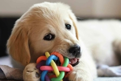 Banner de la categoría Juguetes