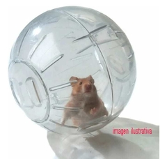 Esfera Para Hamster